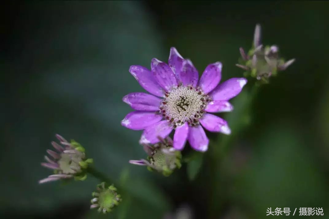 nisi近摄镜使用方法视频,nisi耐司滤镜