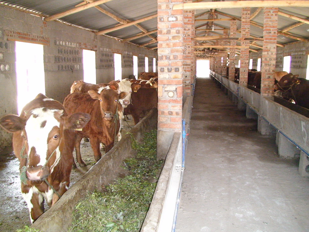 养殖动物品种大全,特种动物养殖品种