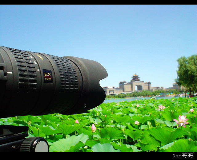 推荐8个大学生最适合的兼职副业,推荐一个大学生值得尝试的副业