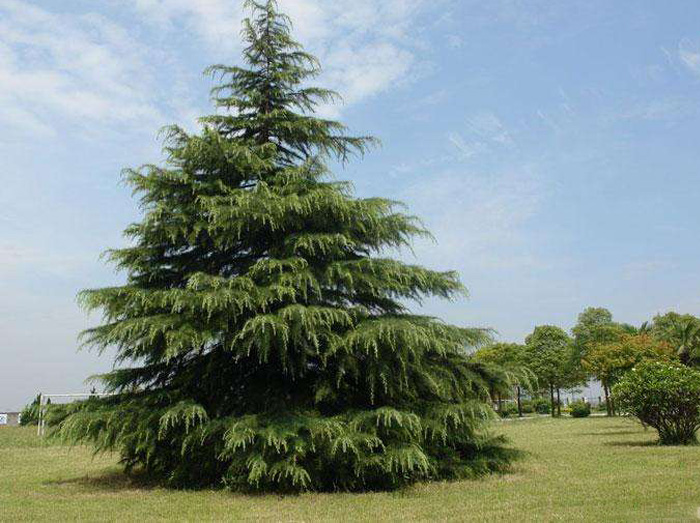 南京冷知识50条,中国南京的10种冷知识