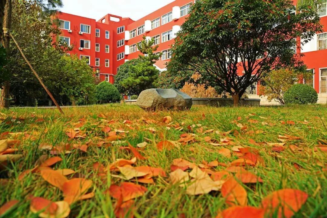 校长在行政会上的要求,作为校长进行学校管理应该怎么做