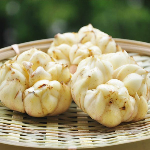 老中医喜欢十大食材,老中医五种食物养生100岁