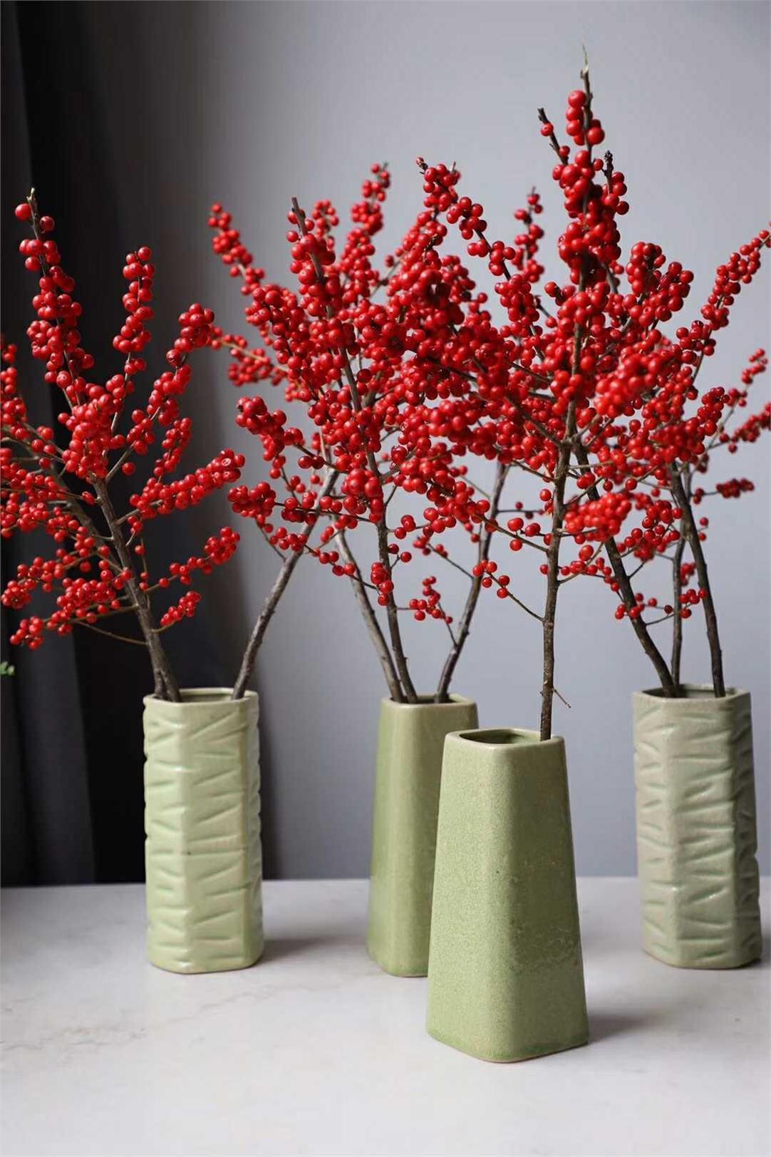 6种“昂贵花”，花钱不值得，纵使“美如仙”，十有八九养不活