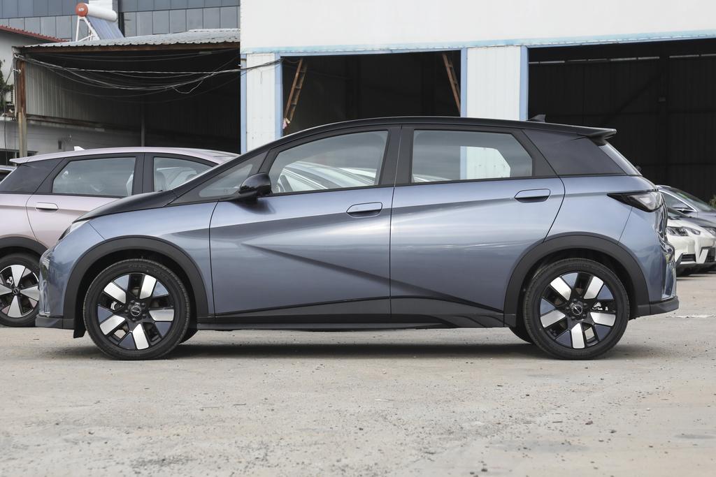 海豚优惠后价格,海豚售价优惠