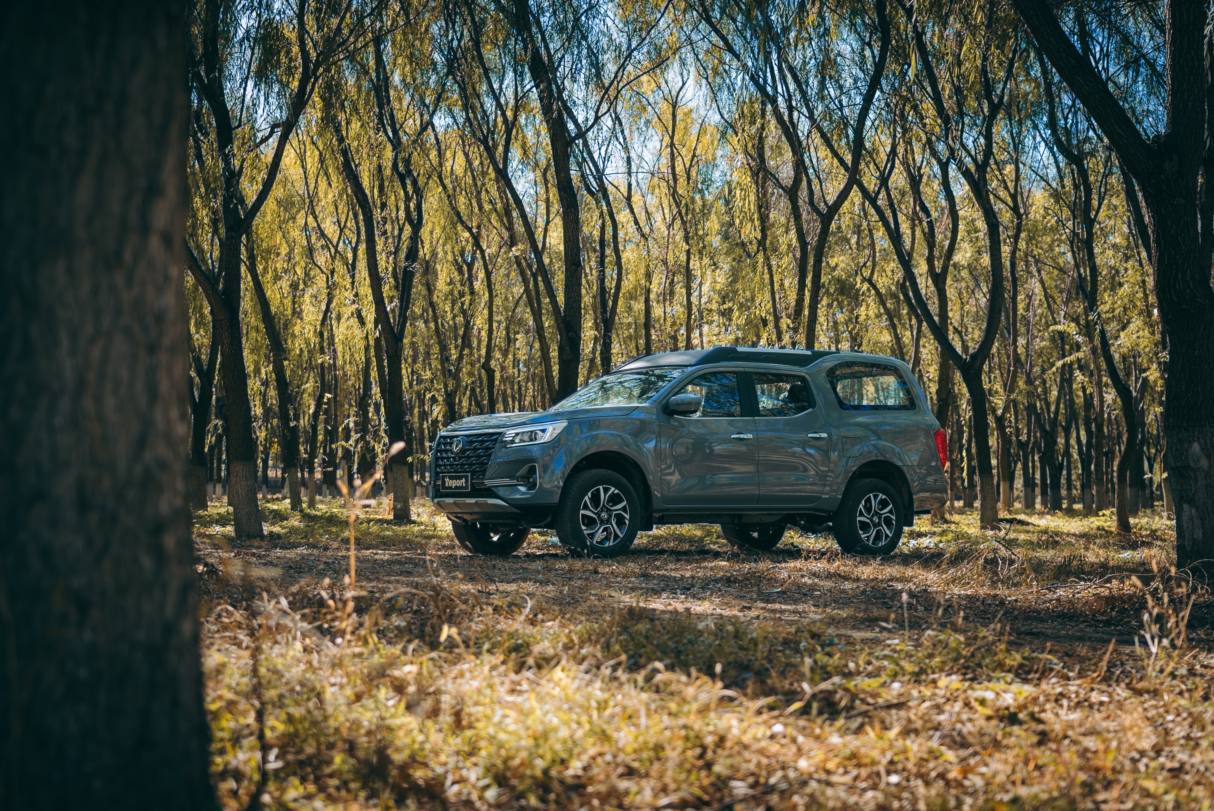 新款帕拉索申报图曝光,帕拉索新款2022四驱