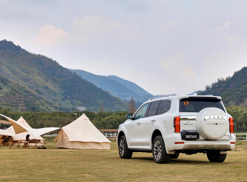 中国汽车品牌实力排行榜,国产汽车哪个品牌实力最强