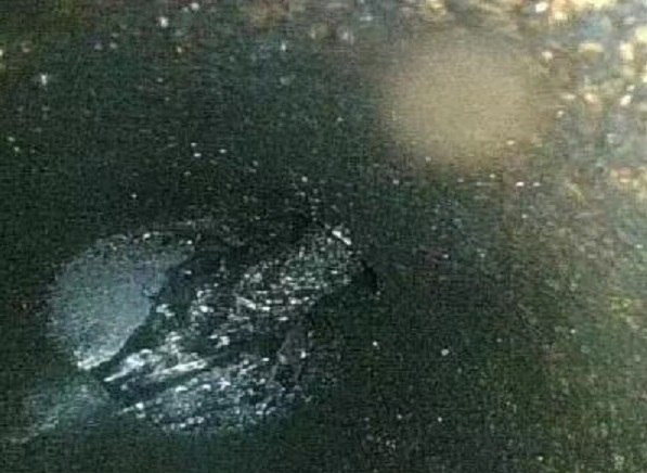 5008车主真实感言,标致5008车主真实感言简短