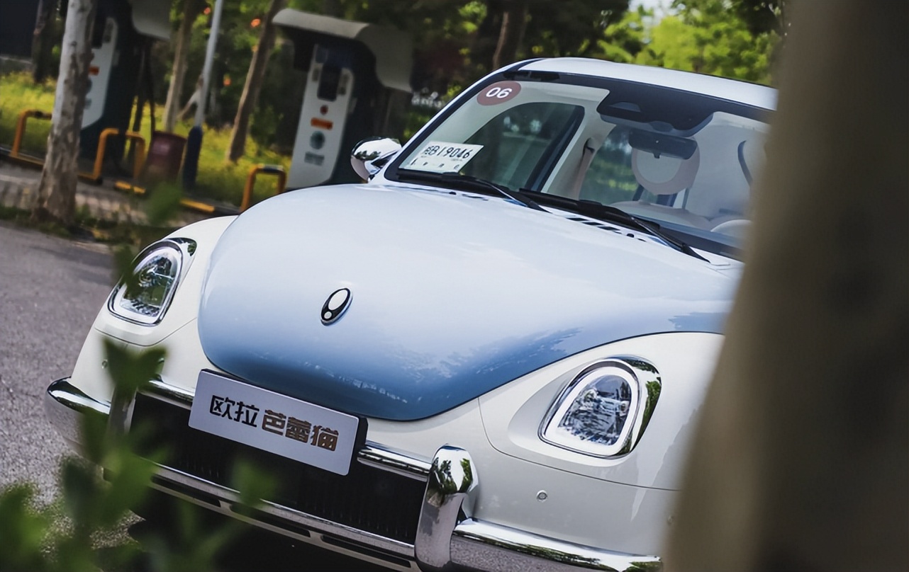 芭蕾猫为什么定价那么高,芭蕾猫凭啥卖那么贵