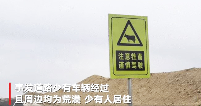 谢大脚出车祸是当场死亡吗,谢大脚车祸身亡是怎么回事