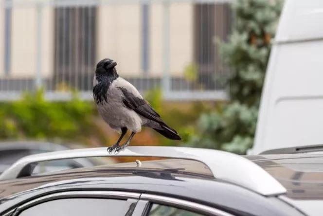 爱车驿站养护,爱车怎么养护最好