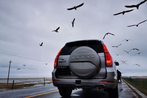 普拉多2700与哈弗h9驾驶感受,哈弗h92022款对比普拉多