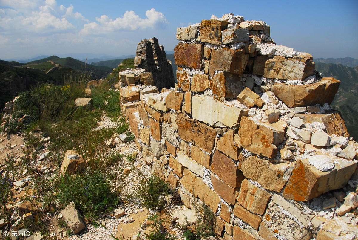 《险象环生》,险象环生打一生肖动物
