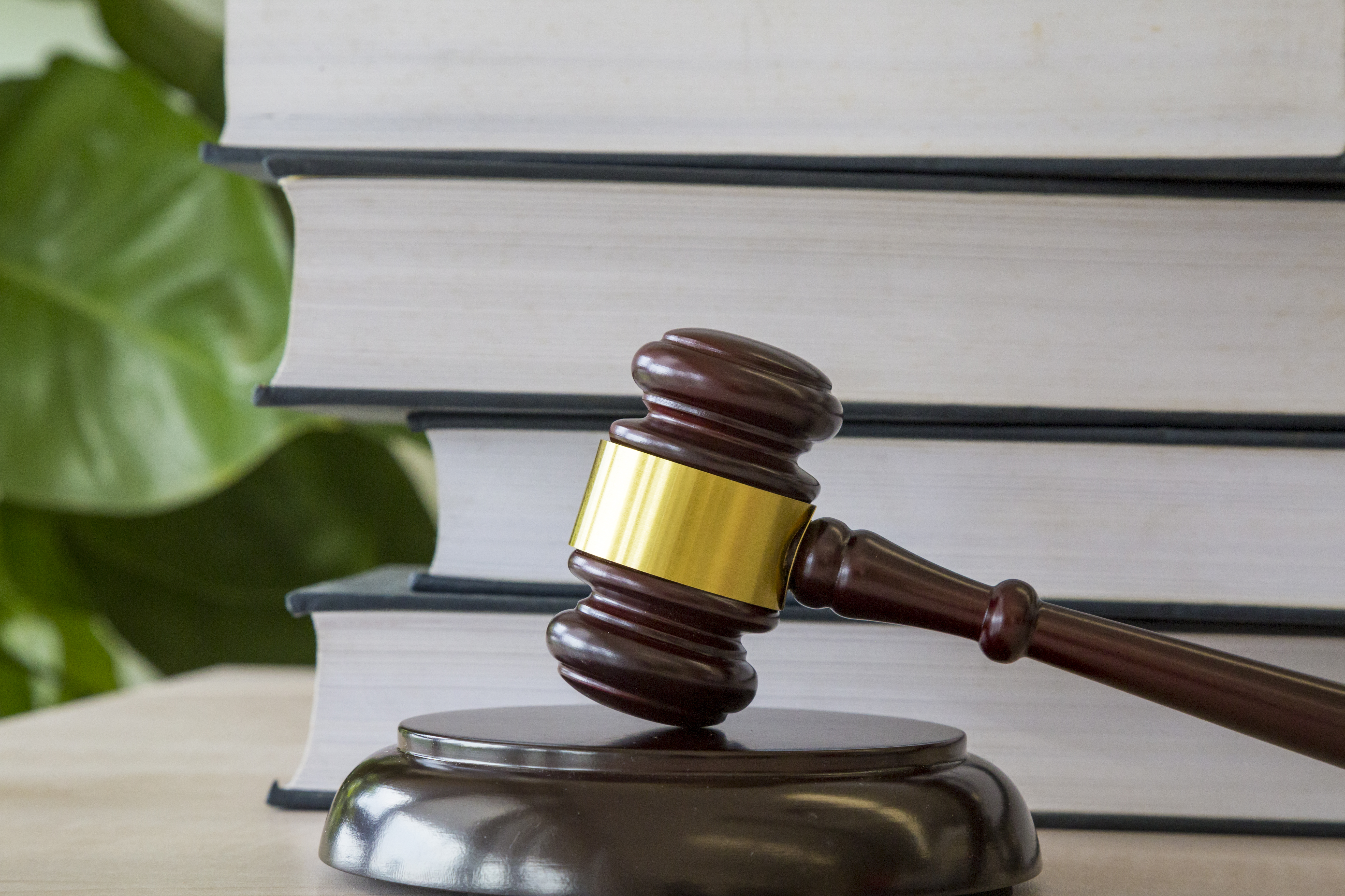 揭破黑天鹅！带你从战争角度，了解历史真实走向