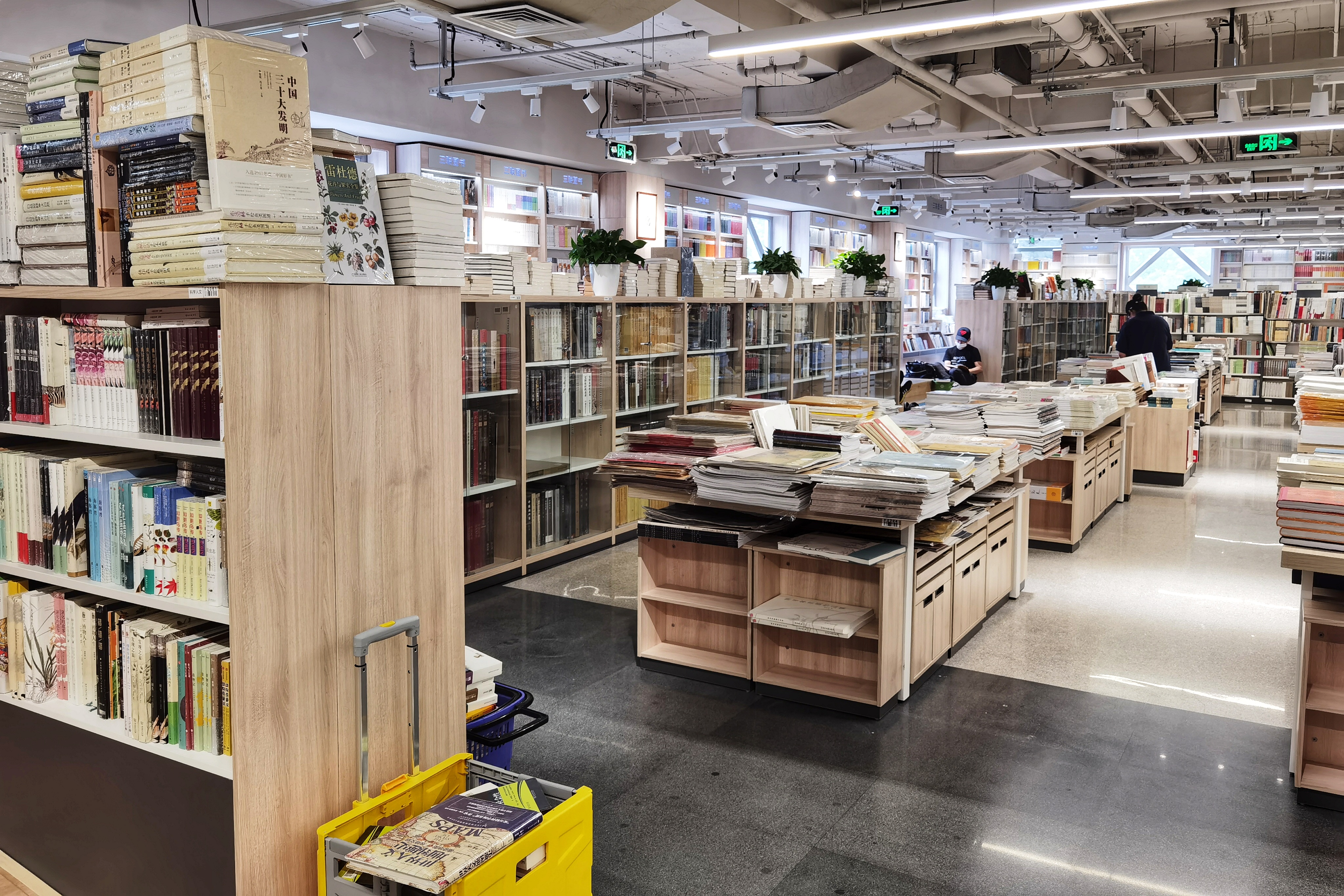 科学家研究人类大脑是如何运作,有关人类大脑的科学研究