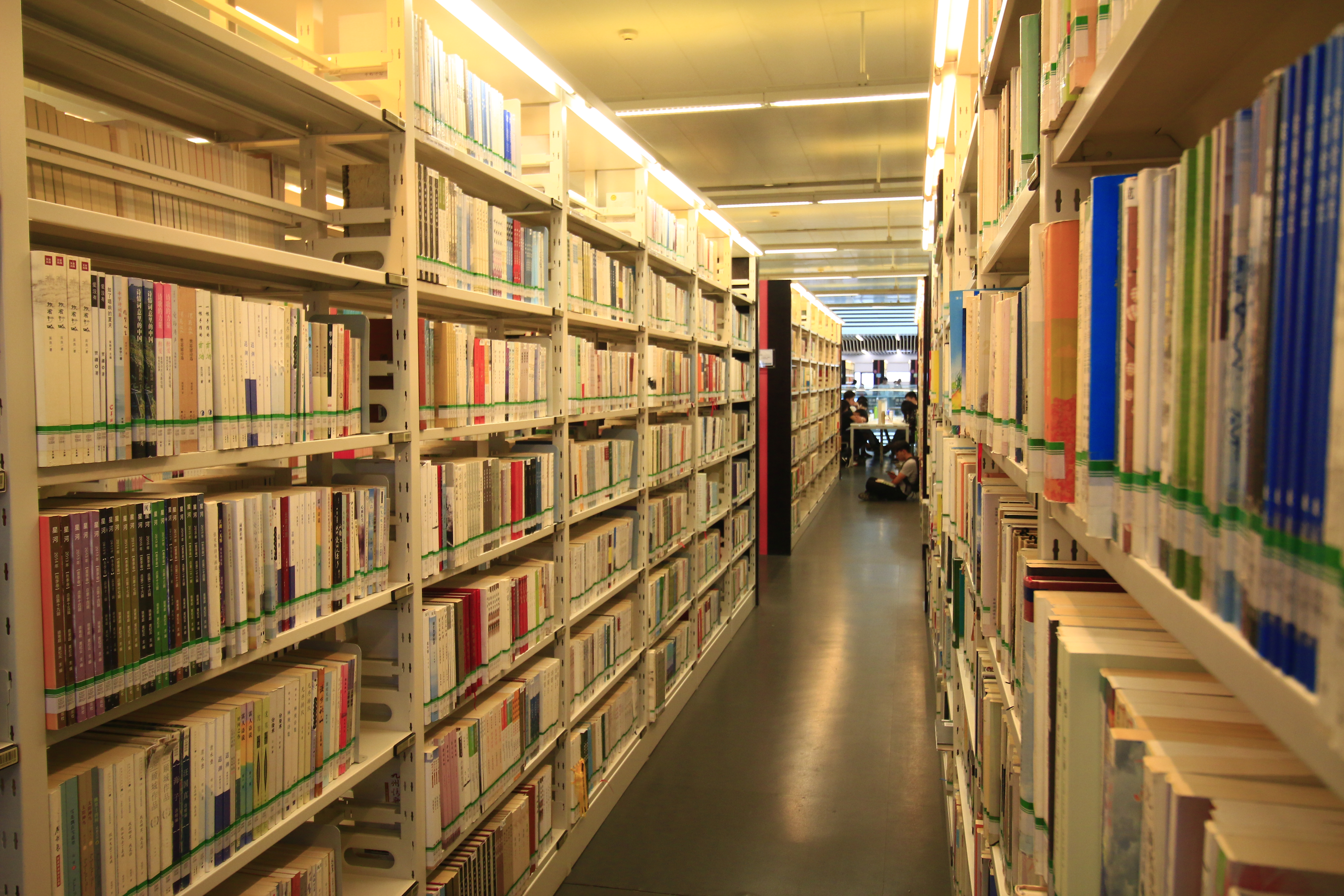 中国多神信仰和三大崇拜,中国是一个多文化的国家