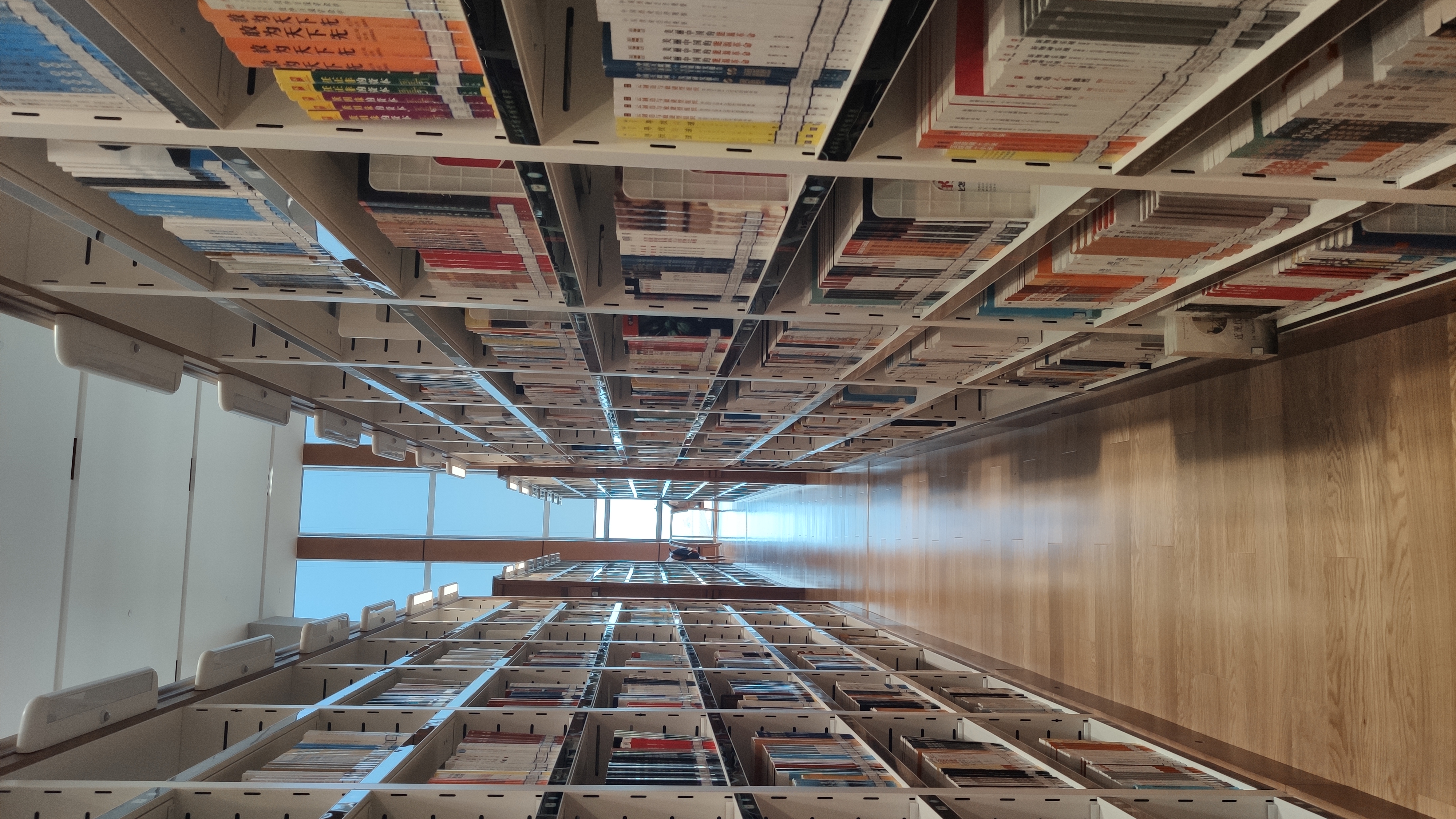 中国移民的优缺点,中国移民的真实感悟