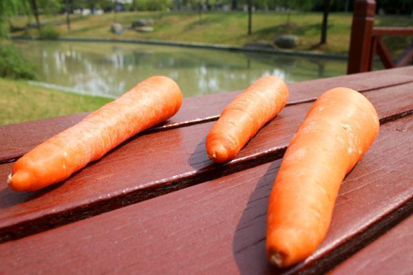 肾结石的小石子需要管吗,肾结石排出的石头怎样的