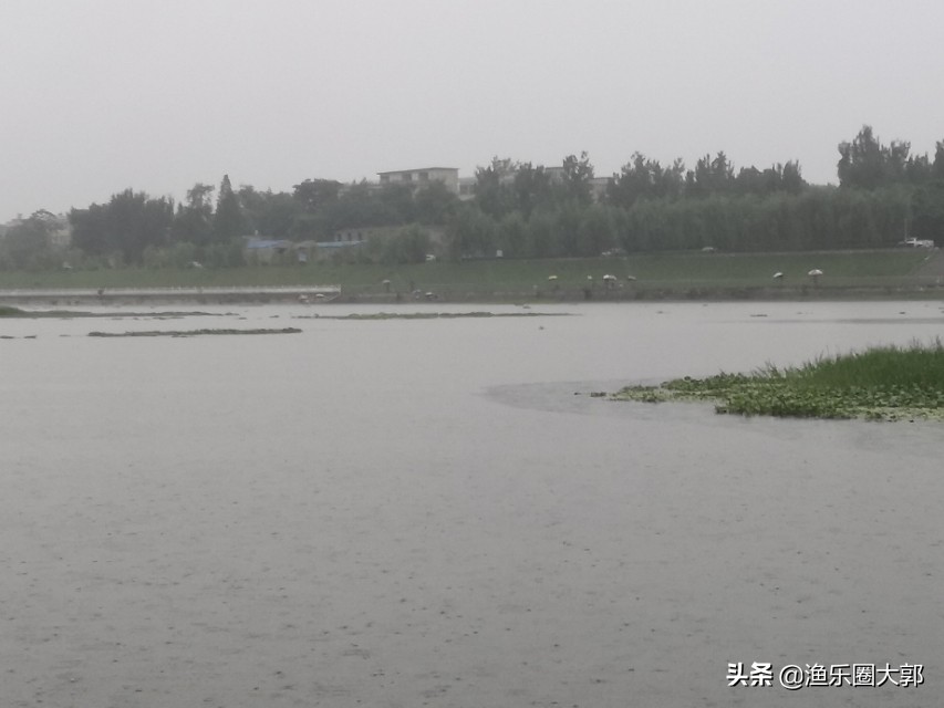 早上鲫鱼钓鱼方法与技巧,鲫鱼早上几点最好钓