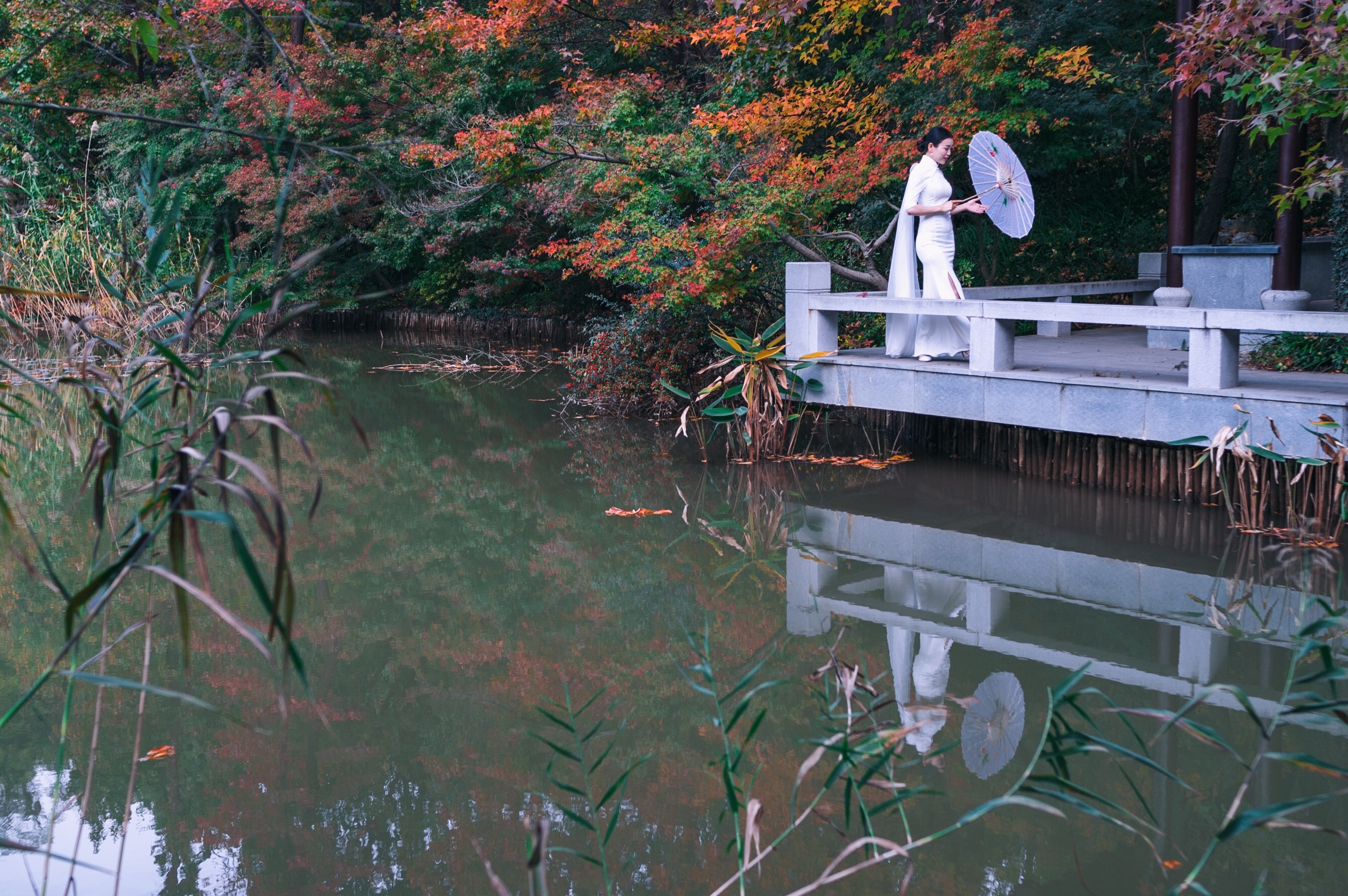 中国四大赏枫胜地南京栖霞山,南京栖霞山进入旅游赏枫季