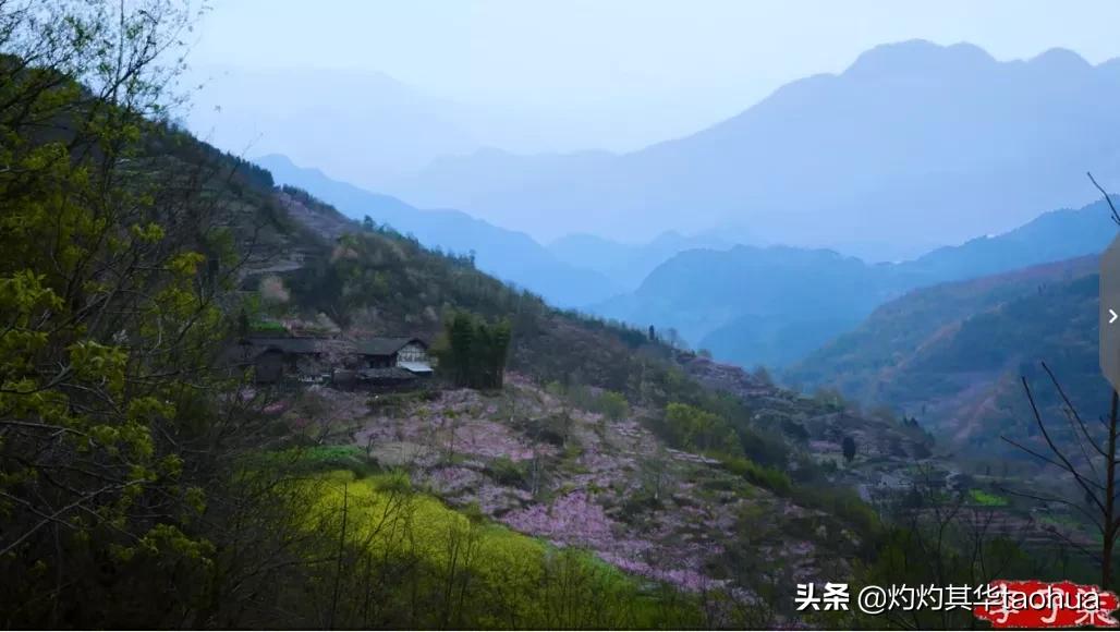 李子柒又出新视频,火爆国内外的网红李子柒