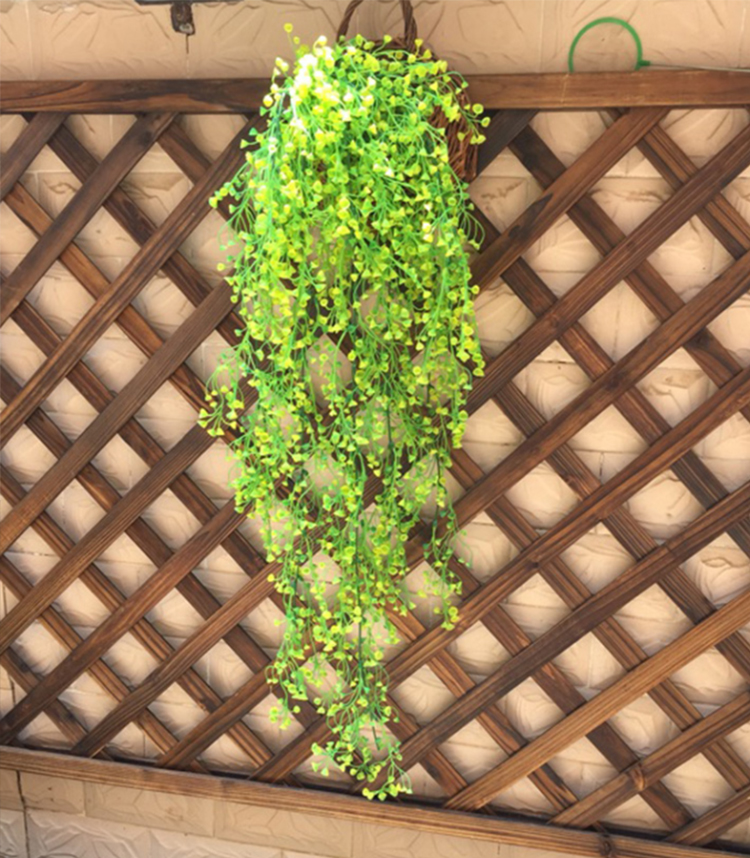 现在生活太方便了,还养什么花啊,假花都能直接上墙了!来个花藤