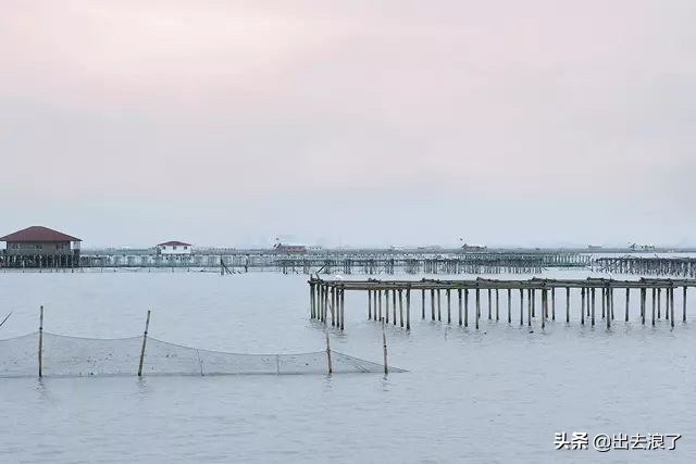 吃蟹子注意事项,吃蟹的时候当心点扎嘴