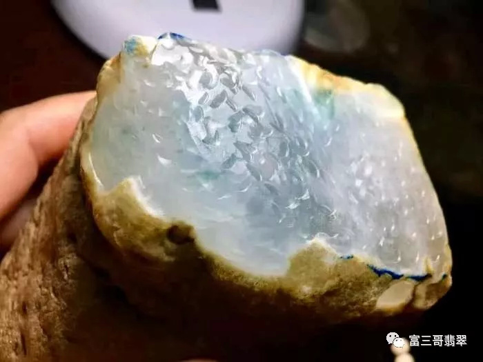 你分得清月季和玫瑰吗,你分得清绿茶吗