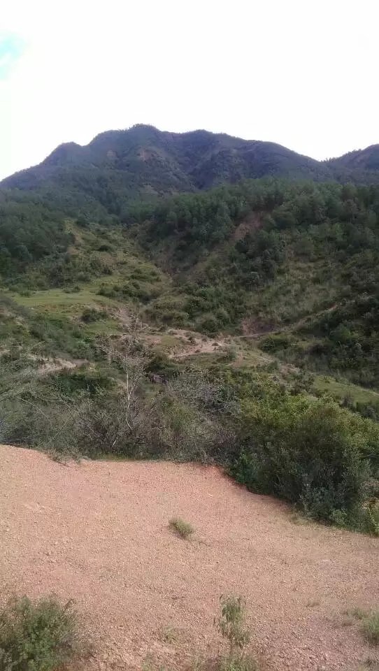 我们的童年时光,我们的童年舞蹈