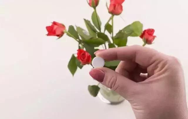 过期的药片丢花盆里花长疯了,家里过期的小药片还可以养植物