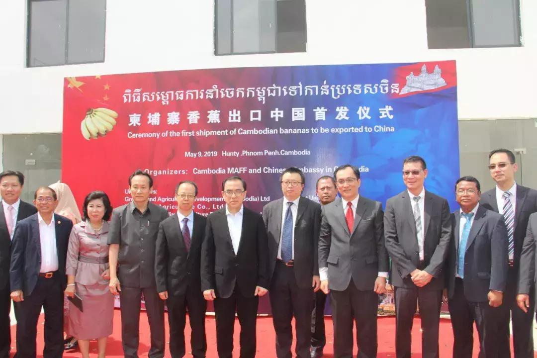 中国香蕉在柬埔寨,柬埔寨香蕉老挝香蕉