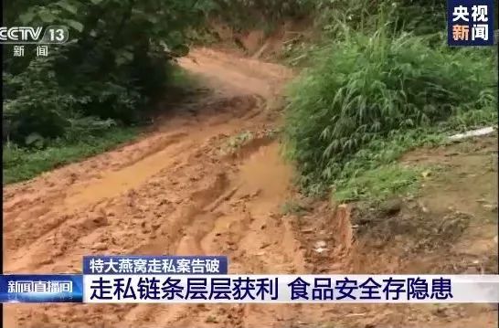 60亿特大燕窝案最新,燕窝大案最新消息