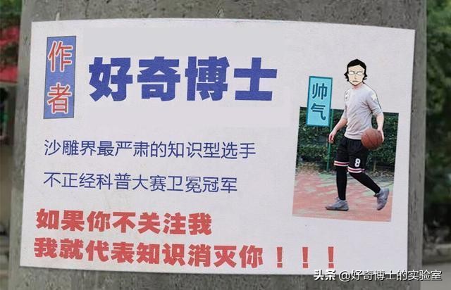 一只鸡难倒一群狗,一只鸡能有什么坏心思