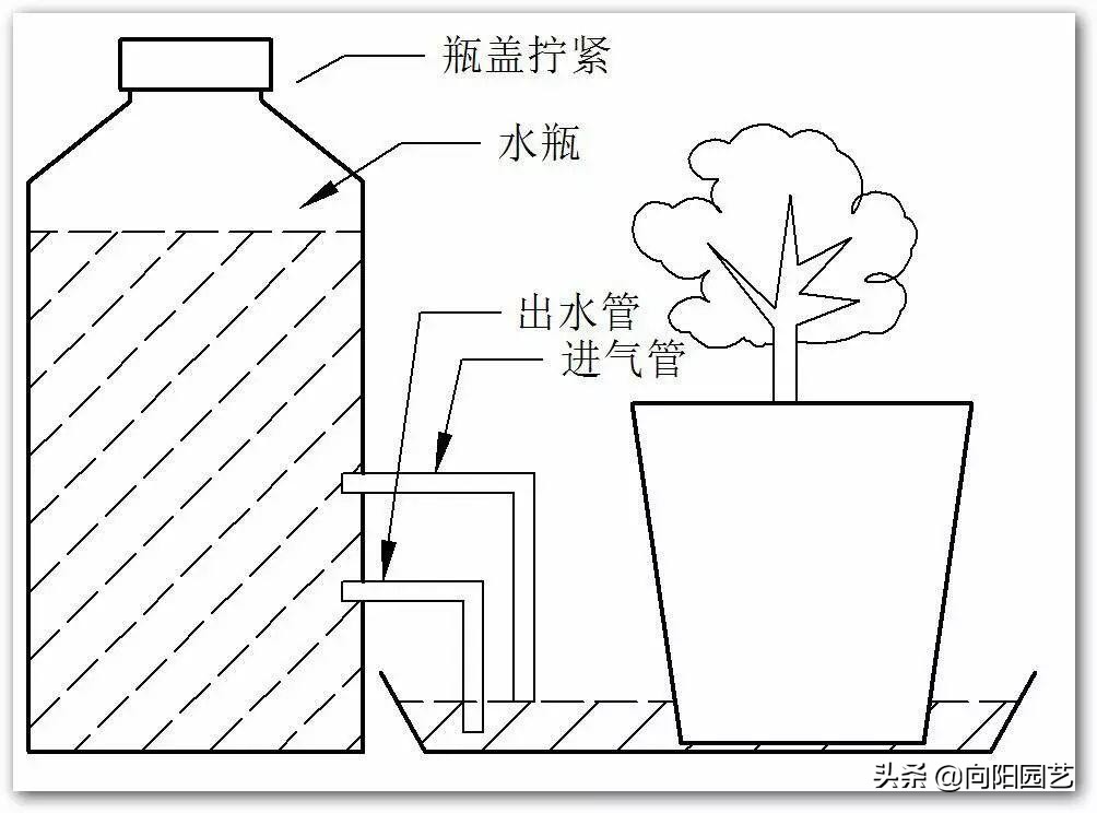 自制夏天自动浇水简易装置,自制室内无人自动浇水神器