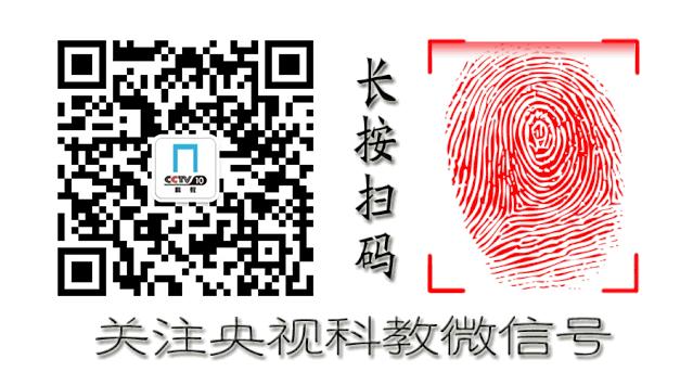 某些企鹅竟然偷东西成瘾，张腾岳一句话道破真相