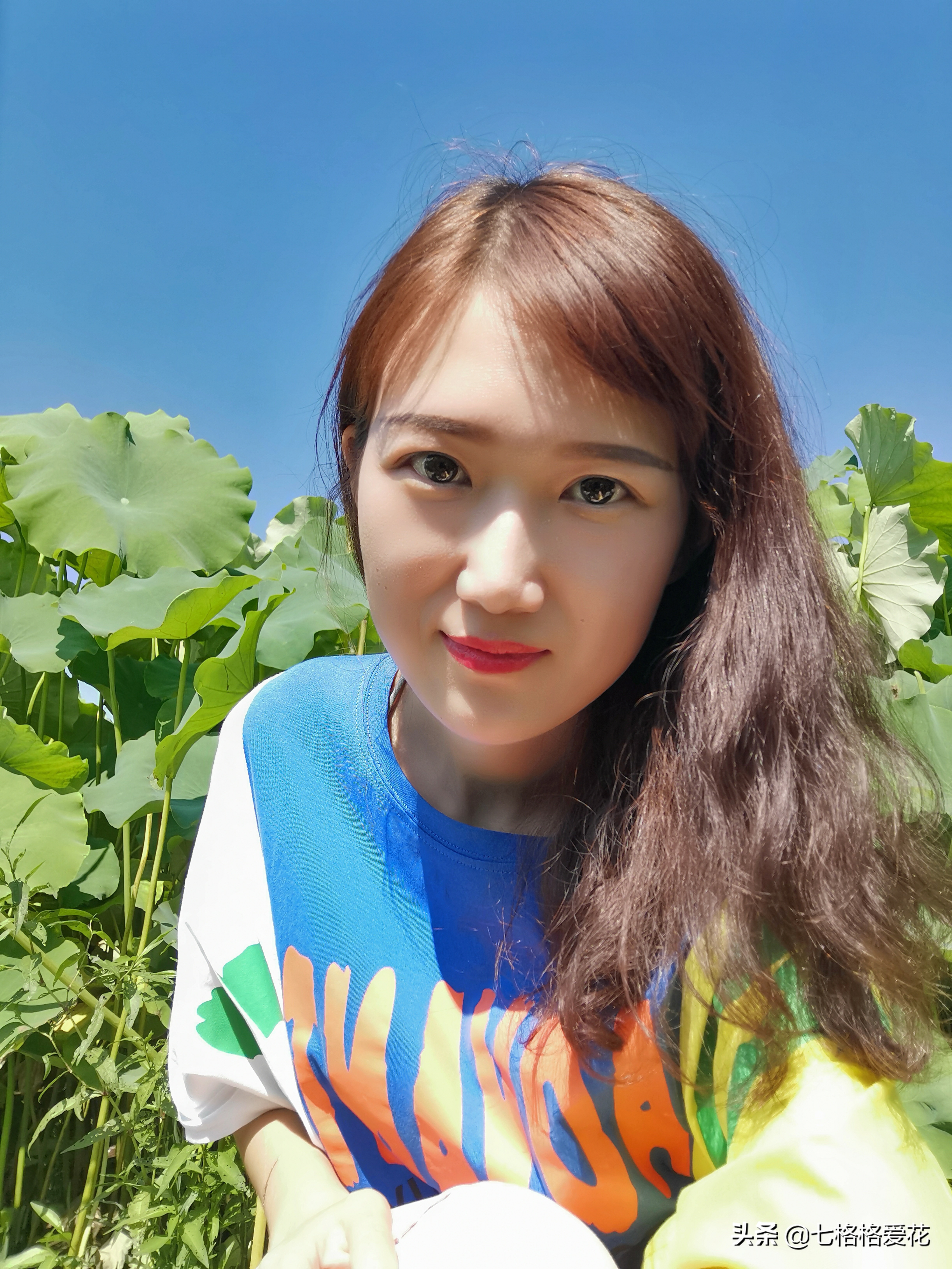 荷花年年开，看荷的人儿年年来，又闻荷花香