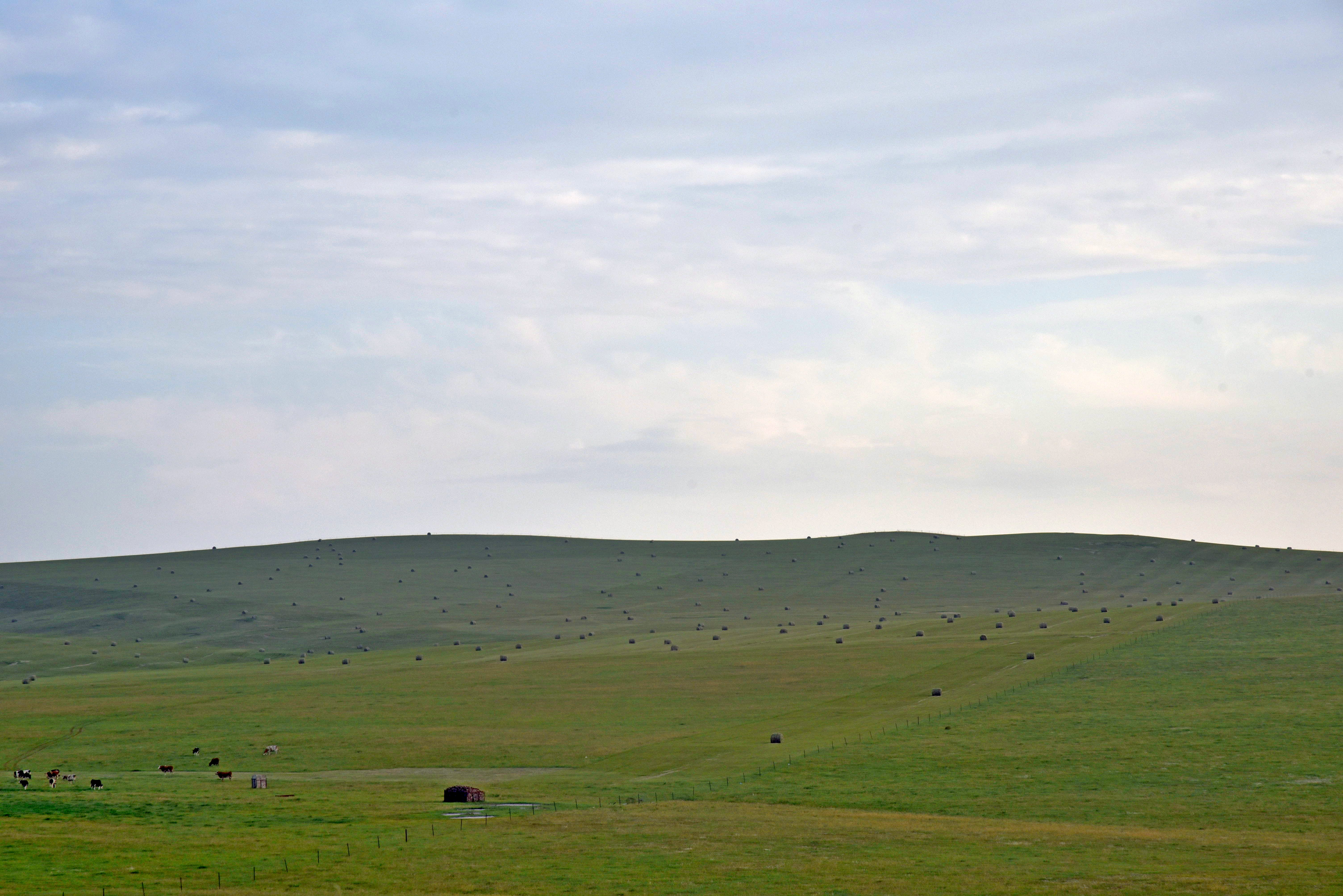 内蒙呼伦贝尔大草原自驾线路图,内蒙古察尔汗自驾游