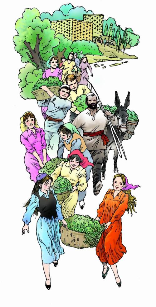 舌尖上的中国百年相传美食,舌尖上的中国美食教材书