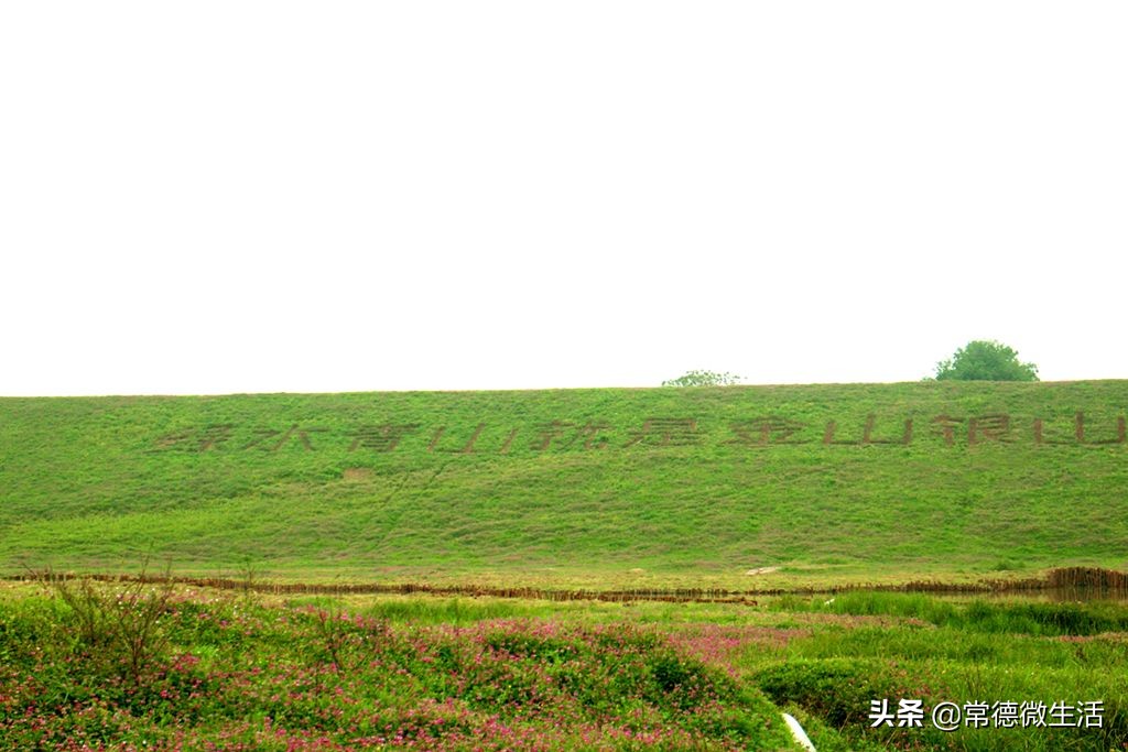 常德丹洲大草原介绍,丹洲草原风景
