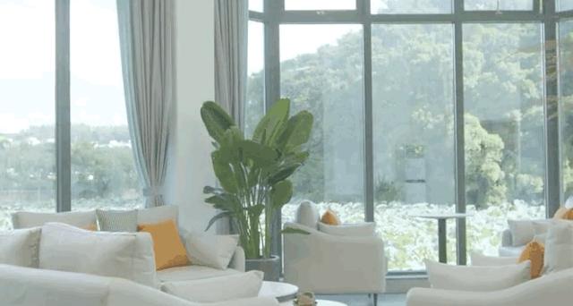 荷塘深处又添网红书院，深圳洪湖公园“荷·美空间”开门迎客