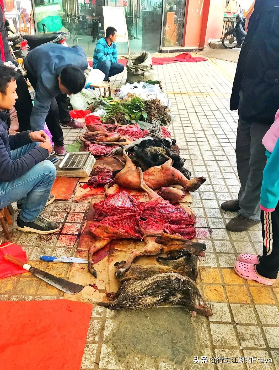 西双版纳傣族村寨赶集,西双版纳星期五赶集