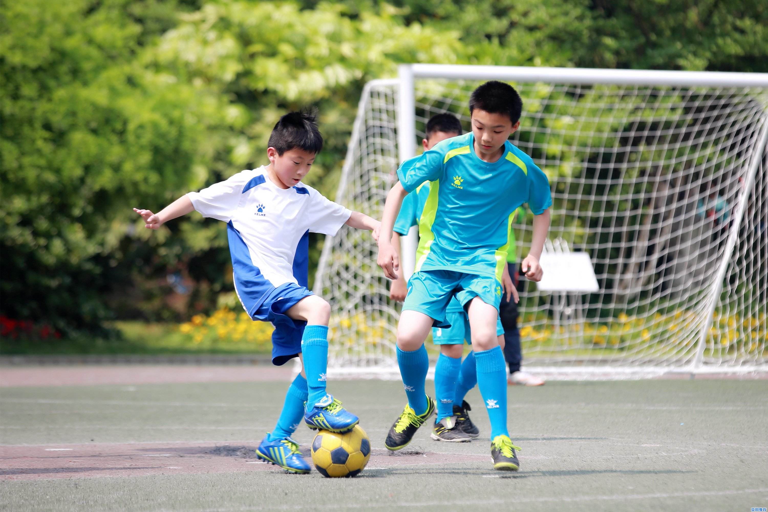 孩子积食内热最好的办法,孩子体质差容易积食该怎么吃