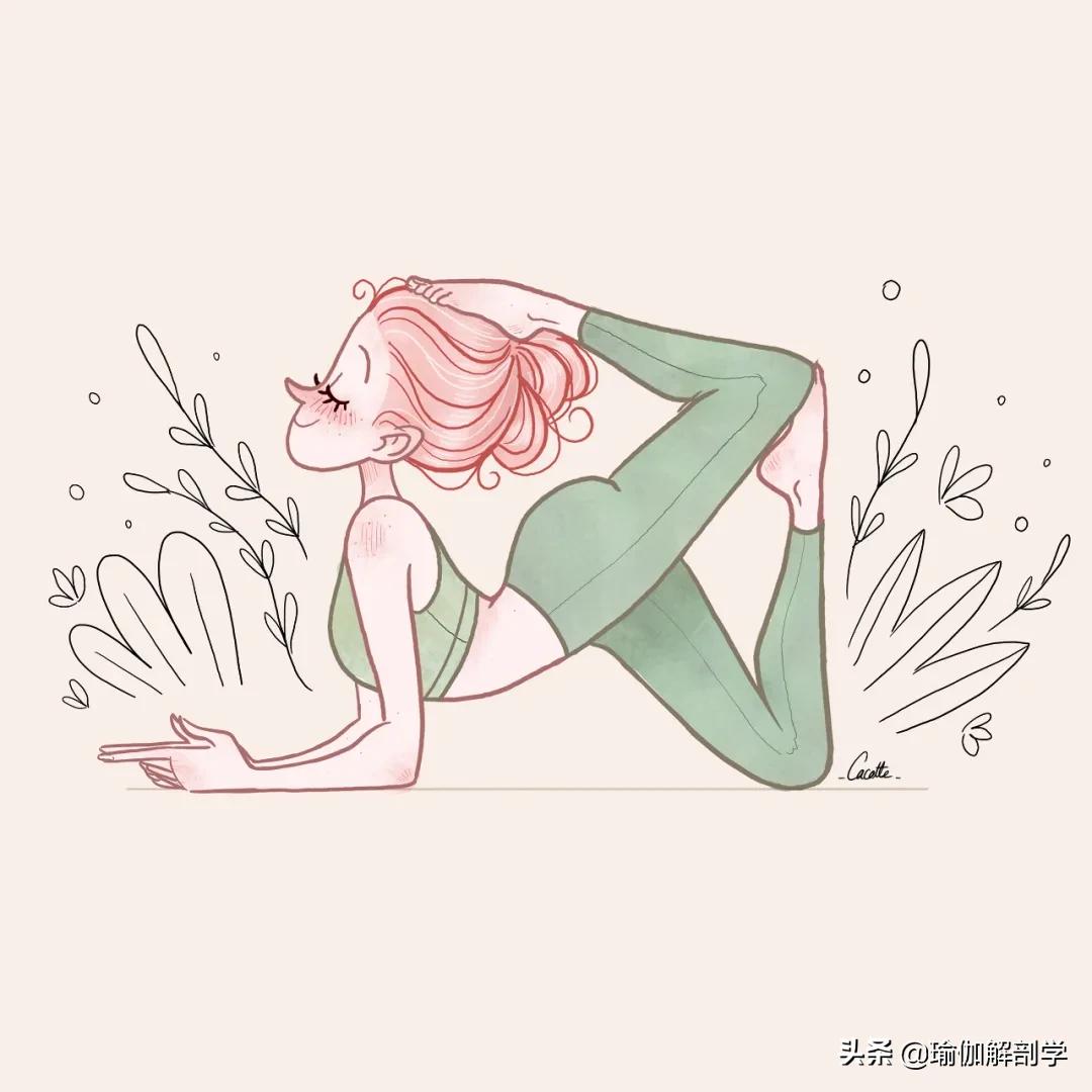 练瑜伽的注意事项十大禁忌,初学瑜伽的5大禁忌