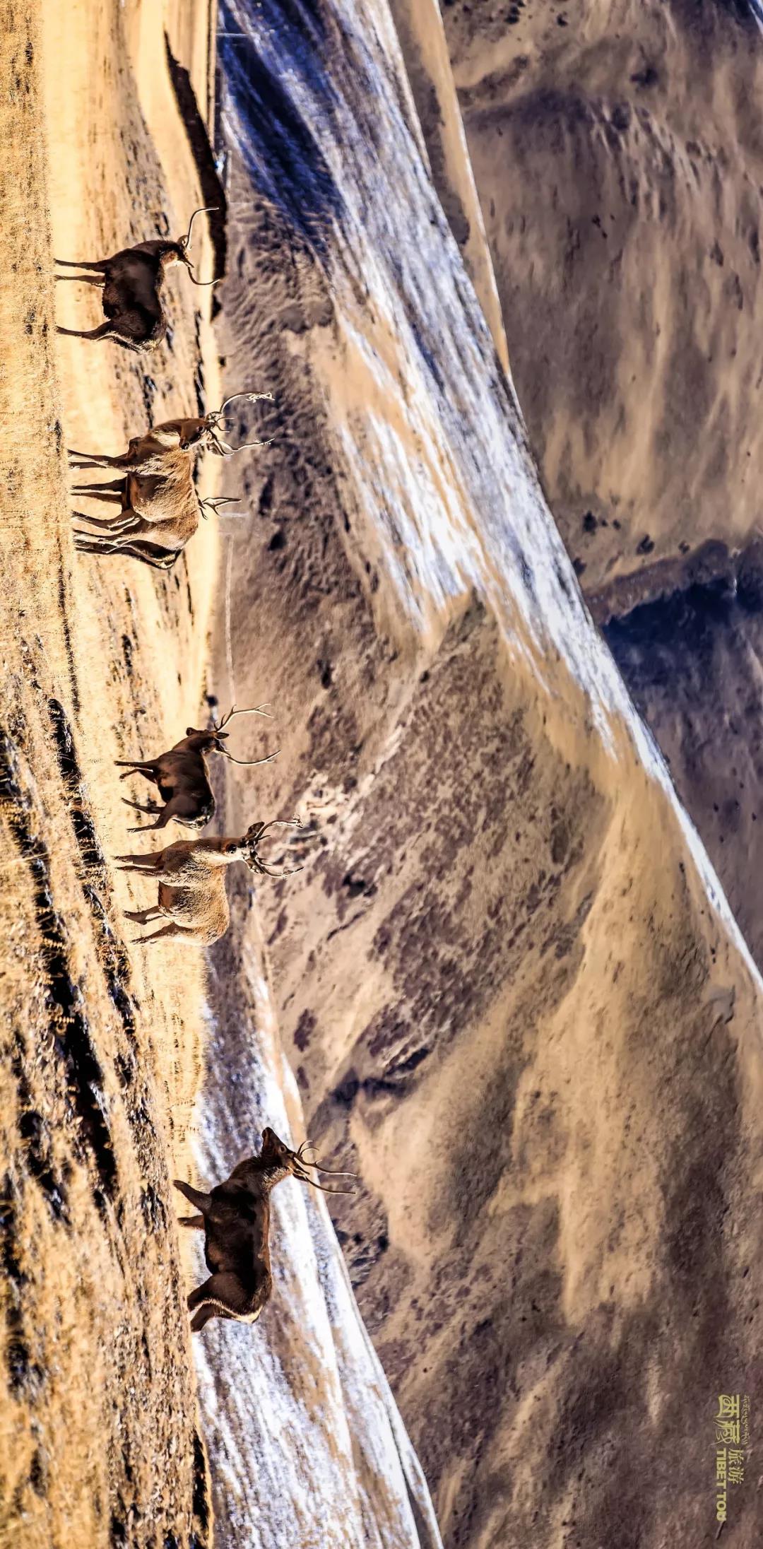 钘忎笢鏄庣彔鏄岄兘瑙嗛,鏄岄兘涓轰粈涔堝彨钘忎笢鏄庣彔