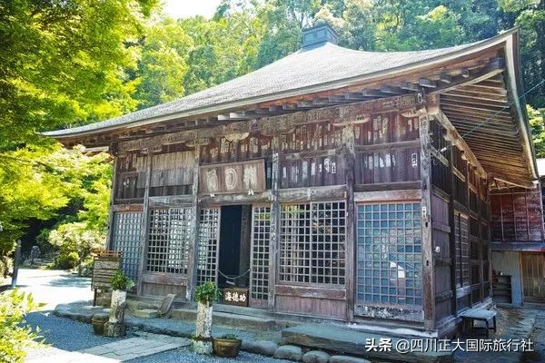 3日行走舞女激情步道体验伊豆万千浪漫