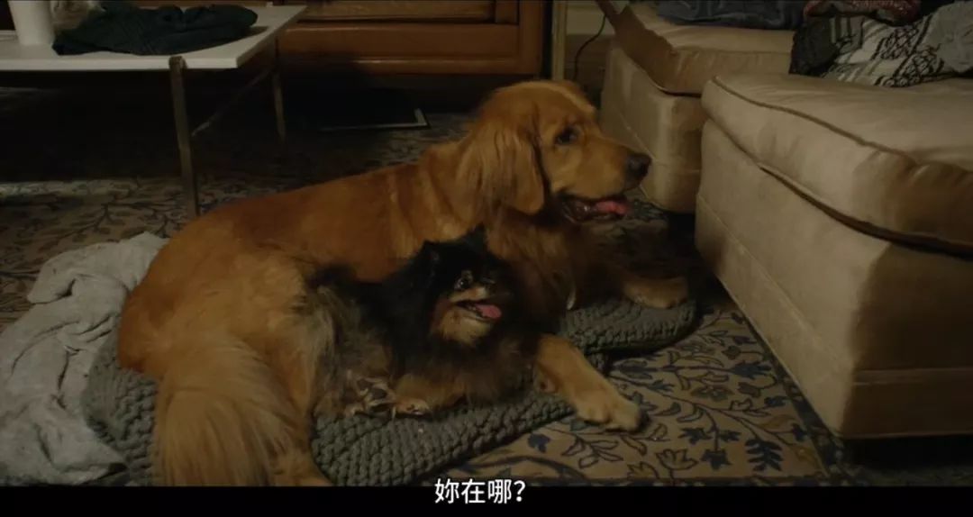 8.7分,8.7分高分剧