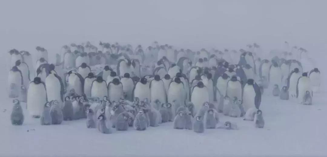 长春家长都领着孩子在干这件事儿，你没做，就落后了！