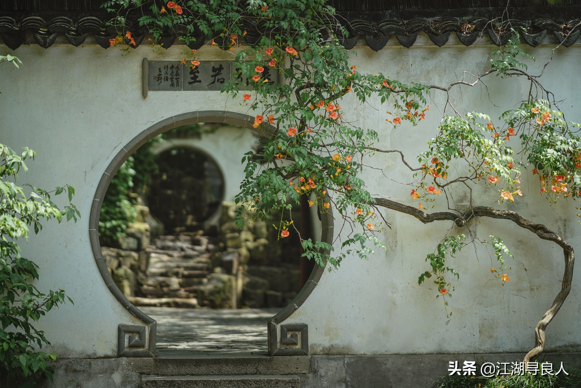 冬天40首必背古诗千山鸟飞绝,适合冬天的绝美古诗词