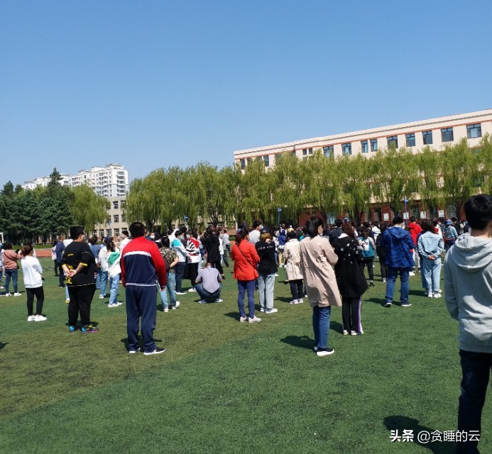 小马过河故事照片,小马过河故事全套