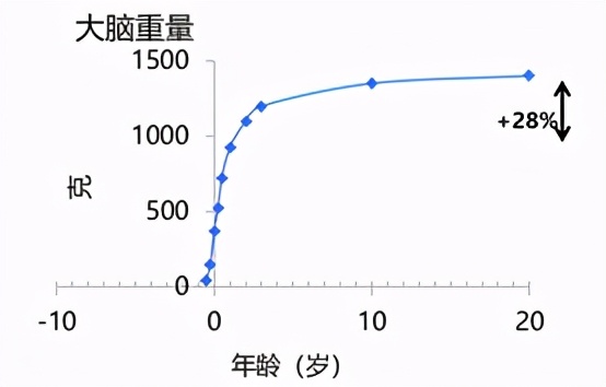 DHA要不要补、怎么补？营养师：“补的对”宝宝的小脑袋更灵光
