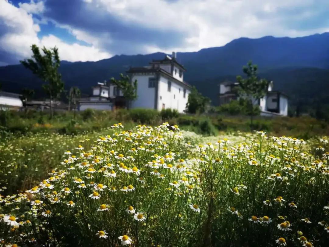 让农业回归原生态,呼唤传统农业回归